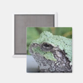 Aimant Arbre grenouille (Recto/Verso)