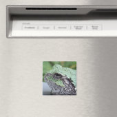 Aimant Arbre grenouille (In Situ (Lave-vaisselle))