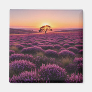 Aimant Arbre isolé Parc national des North York Moors Ang