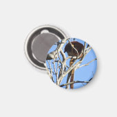 Aimant Arbre magnétique Kangaroo (Recto/Verso)