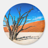 Aimant Arbre mort à Deadvlei, Namibie (Devant)