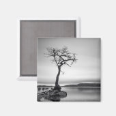 Aimant Arbre nu (Recto/Verso)
