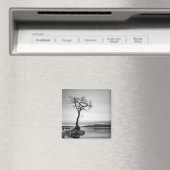Aimant Arbre nu (In Situ (Lave-vaisselle))