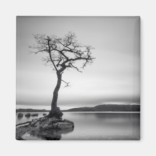 Aimant Arbre nu (Devant)