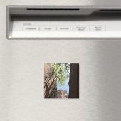 Aimant Arbre qui pousse entre les rochers dans le parc na (In Situ (Lave-vaisselle))