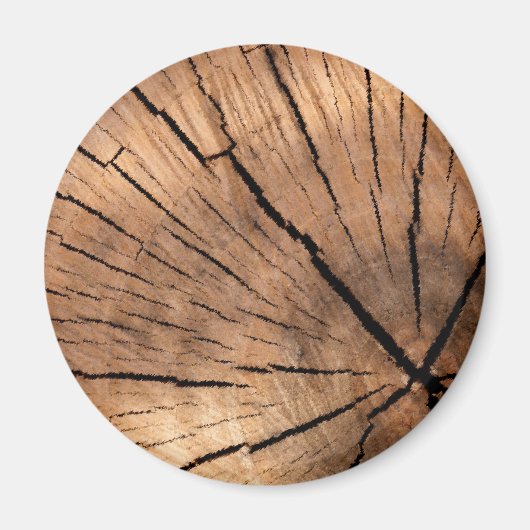 AIMANT ARBRE STUMP (Devant)