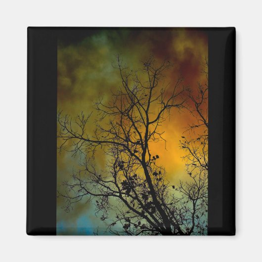 Aimant arbre un matin orageux (Devant)