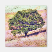 AIMANT ARBRES (Devant)