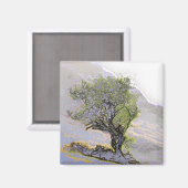 AIMANT ARBRES (Recto/Verso)