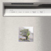 AIMANT ARBRES (In Situ (Lave-vaisselle))