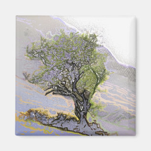 AIMANT ARBRES
