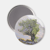 AIMANT ARBRES (Recto/Verso)