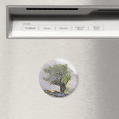 AIMANT ARBRES (In Situ (Lave-vaisselle))