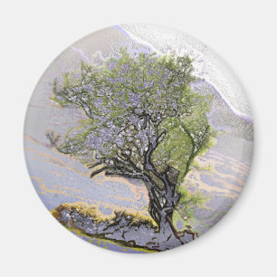 AIMANT ARBRES