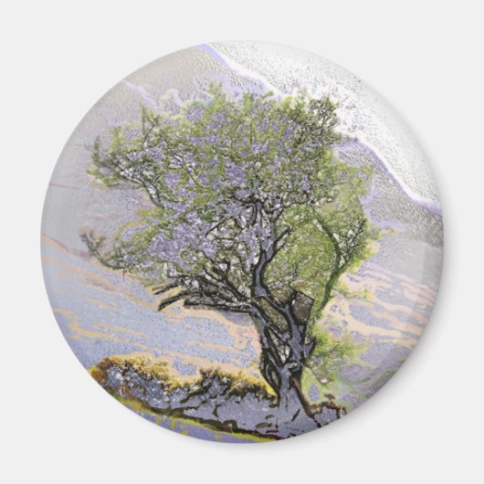 AIMANT ARBRES (Devant)