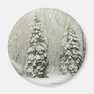 Aimant arbres