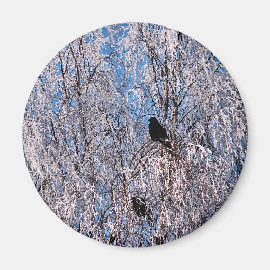 AIMANT ARBRES (Devant)