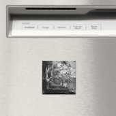 AIMANT ARBRES (In Situ (Lave-vaisselle))