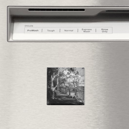 AIMANT ARBRES (In Situ (Lave-vaisselle))