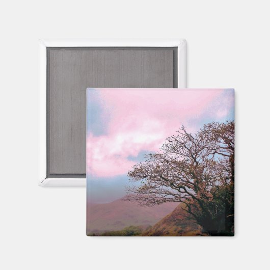 AIMANT ARBRES (Recto/Verso)