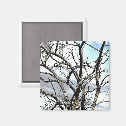 AIMANT ARBRES (Recto/Verso)