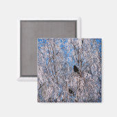 AIMANT ARBRES (Recto/Verso)