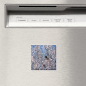AIMANT ARBRES (In Situ (Lave-vaisselle))