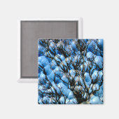 AIMANT ARBRES (Recto/Verso)