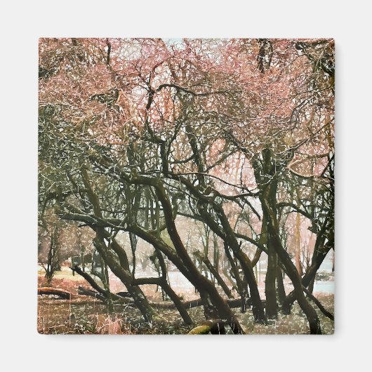 AIMANT ARBRES (Devant)