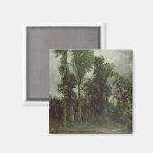 Aimant Arbres à Hampstead (Recto/Verso)