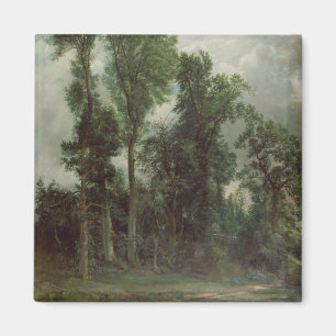 Aimant Arbres chez Hampstead