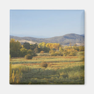 Aimant Arbres d'automne, Khancoban, Montagnes enneigées,