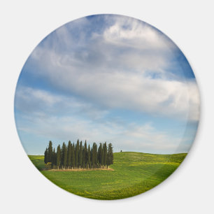Aimant Arbres de Cypress dans l'aimant rond de la Toscane