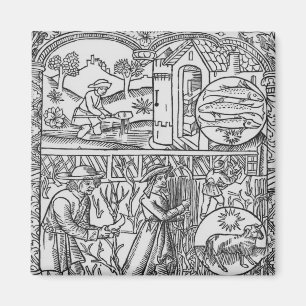 Aimant Arbres de mars, de pêche et d'élagage, Poissons
