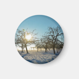 Aimant Arbres d'hiver au lever du soleil