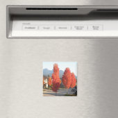 Aimant Arbres d'Orange en automne (In Situ (Lave-vaisselle))