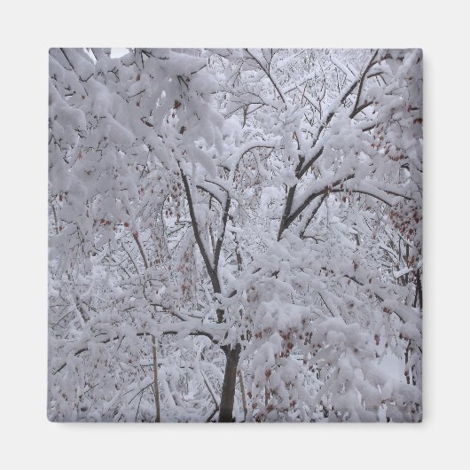 Aimant Arbres enneigés (Devant)