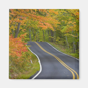 Aimant Arbres érables colorés en automne bordant un paysa