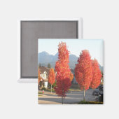 Aimant Arbres orange en automne (Recto/Verso)