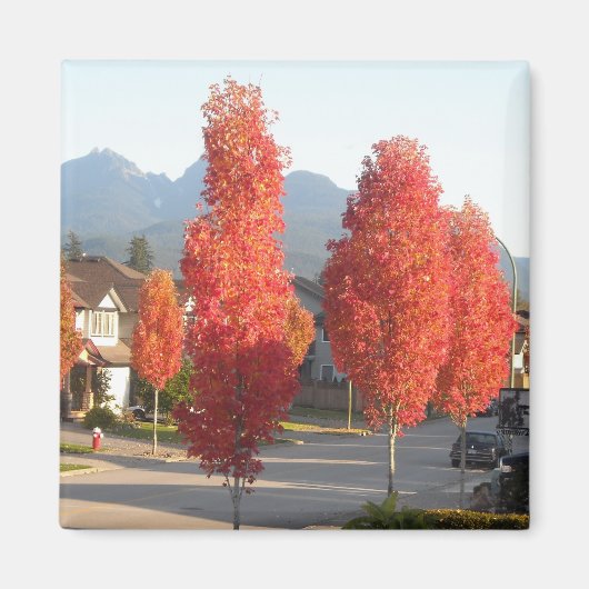 Aimant Arbres orange en automne (Devant)