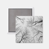 Aimant Arbres sans feuilles dans le bois de Thiepval (Recto/Verso)