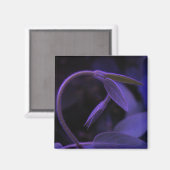 Aimant arc (Recto/Verso)