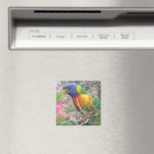 Aimant arc-en-ciel (In Situ (Lave-vaisselle))