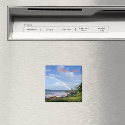 Aimant arc en ciel de l'île Hawaii (In Situ (Lave-vaisselle))