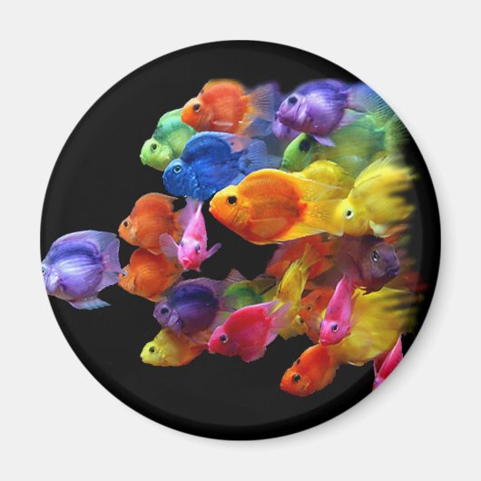 Aimant Arc-en-ciel de poisson perroquet (Devant)
