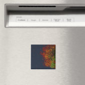 Aimant arc-en-ciel en chute (In Situ (Lave-vaisselle))