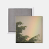 Aimant Arc-en-ciel et Arbres magnétiques (Recto/Verso)