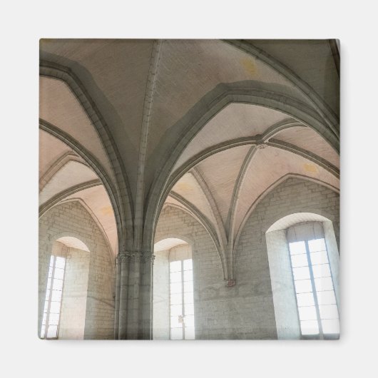 Aimant Architecture du Palais des Papes (Devant)