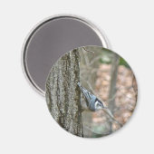 Aimant Ardoise Gris Nuthatch Songbird Articles Coordonnés (Recto/Verso)