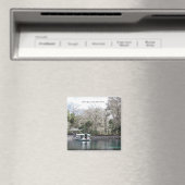 Aimant Argent Springs, Floride, Bateau fond de verre (In Situ (Lave-vaisselle))